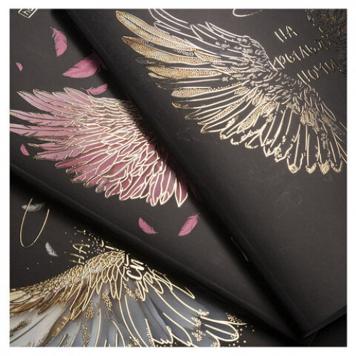 Тетрадь А5 48л. HATBER скоба, клетка, матовая ламинация, 3D фольга, Крылья ангела (ми, 48Т5лофВ1