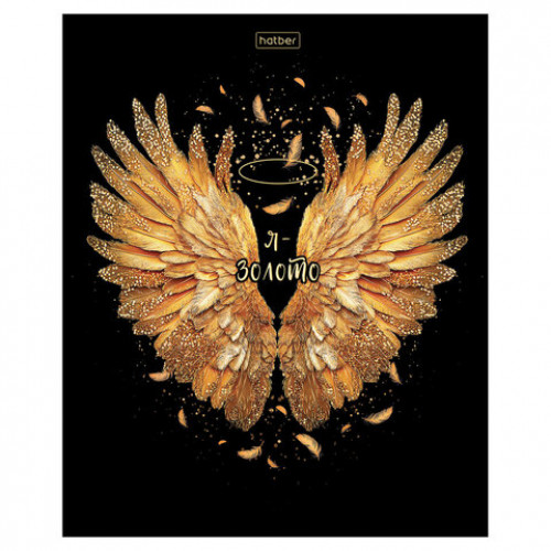 Тетрадь А5 48л. HATBER скоба, клетка, матовая ламинация, 3D фольга, Крылья ангела (ми, 48Т5лофВ1