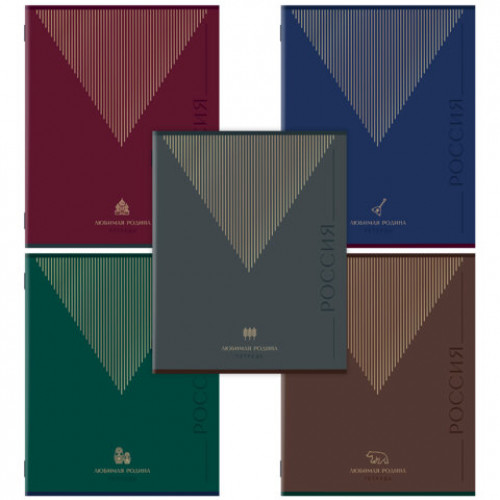 Тетрадь А5 48 л. STAFF College скоба, линия, офсет №2 ЭКОНОМ, обложка картон, РОДИНА, 405629