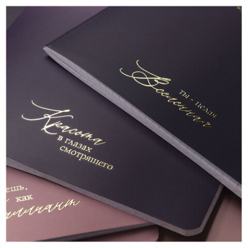 Тетрадь А5 48л. HATBER скоба, клетка, матовая ламинация, 3D фольга, Золотые моменты (, 48Т5лофВ1