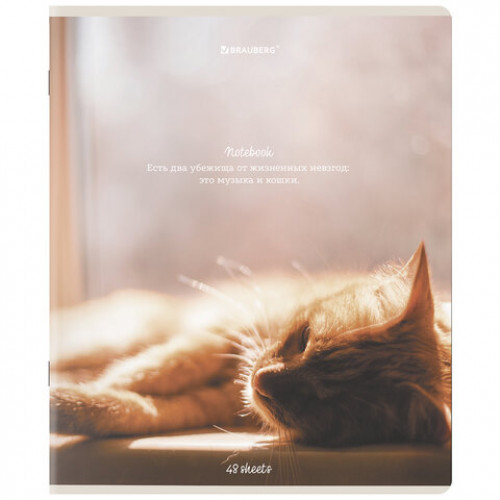 Тетради ДЭК А5 48 л. КОМПЛЕКТ 5 шт. BRAUBERG, клетка, матовая ламинация, Cats, 404673