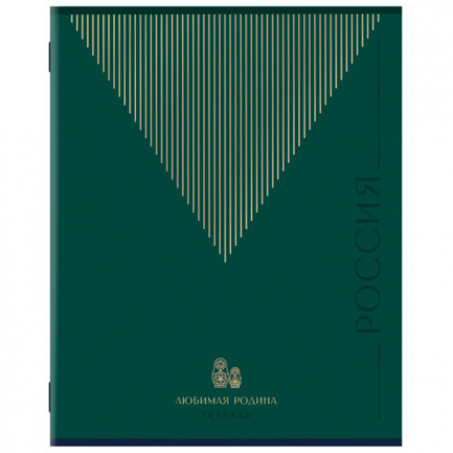 Тетрадь А5 48 л. STAFF College скоба, линия, офсет №2 ЭКОНОМ, обложка картон, РОДИНА, 405629