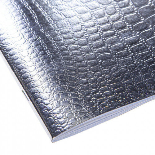 Тетрадь бумвинил А5 48л. скоба, офсет №1, клетка, с полями, СЕРЕБРО Metallic CROCO, H, 48Т5бвВ1