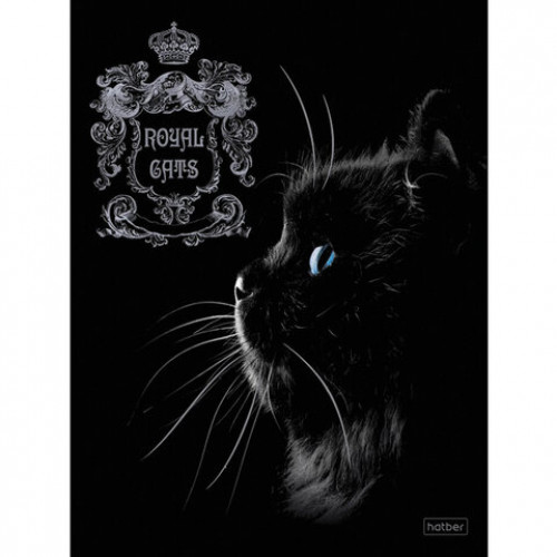 Тетрадь А5, 48 л., HATBER, скоба, клетка, матовая ламинация, 3D, RoyalCats (5 видов в спайке), 48Т5лофл