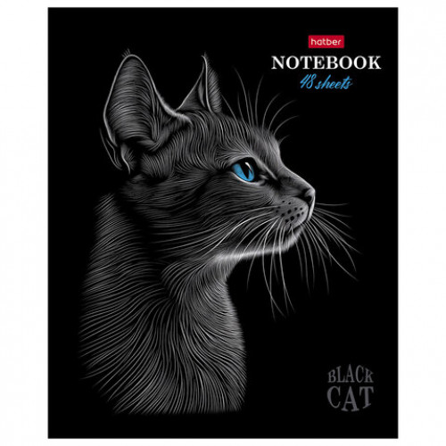 Тетрадь А5 48л. HATBER скоба, клетка, матовая ламинация, 3D лак, Black Cat (микс в сп, 48Т5лолВ1