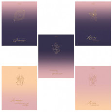 Тетрадь А5 48л. HATBER скоба, клетка, матовая ламинация, 3D фольга, Золотые моменты (, 48Т5лофВ1 Тетрадь А5 48л. HATBER скоба, клетка, матовая ламинация, 3D фольга, Золотые моменты (, 48Т5лофВ1