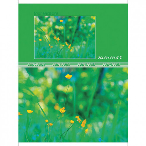 Тетрадь А5, 48 л., HATBER-ECO, скоба, офсет №2 ЭКОНОМ, клетка, обложка картон, Seasons, 48Т5D1