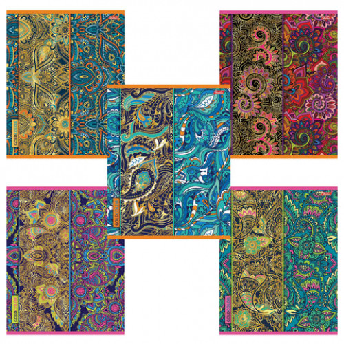 Тетрадь А5, 48 л., HATBER, скоба, клетка, 3D фольга, матовая ламинация, GOLD COLOR (5 видов), 48Т5лофВ1, T254127