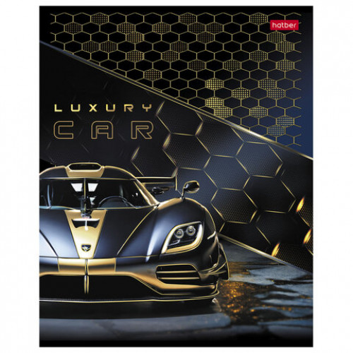 Тетрадь А5 48л. HATBER скоба, клетка, матовая ламинация, 3D фольга, Роскошь и стиль (, 48Т5лофВ1