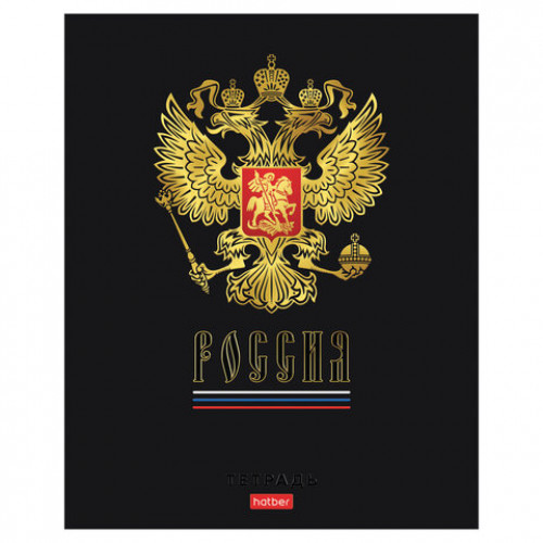 Тетрадь А5 48л. HATBER скоба, клетка, матовая ламинация, 3D фольга, 3D лак, Россия (м, 48Т5лофлВ1