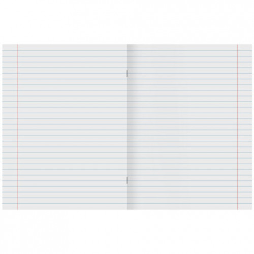 Тетрадь А5 48 л. STAFF College скоба, линия, офсет №2 ЭКОНОМ, обложка картон, РОДИНА, 405629