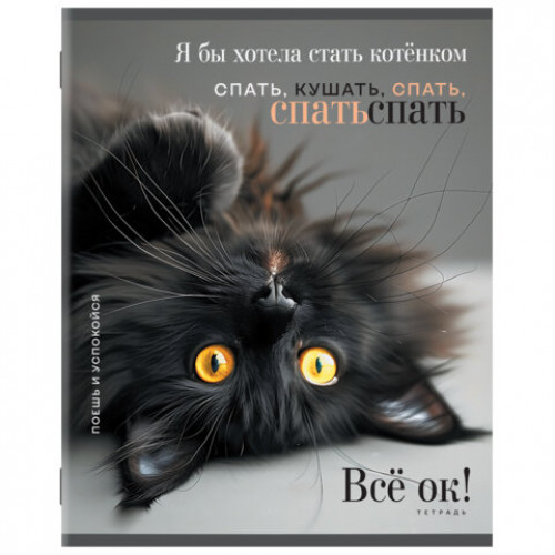 Тетрадь А5 48 л. STAFF College, скоба, клетка, офсет №2 ЭКОНОМ, обложка картон, ПУШИСТЫЕ ДРУЗЬЯ, 405627