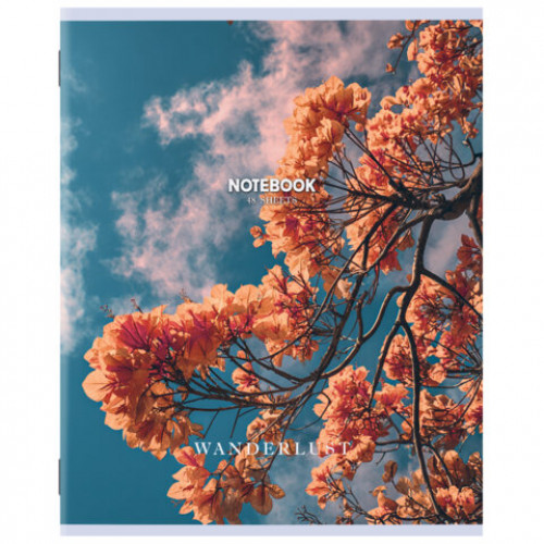 Тетрадь А5 48 л. STAFF College, скоба, клетка, офсет №2 ЭКОНОМ, обложка картон, ПРИРОДА, 405626