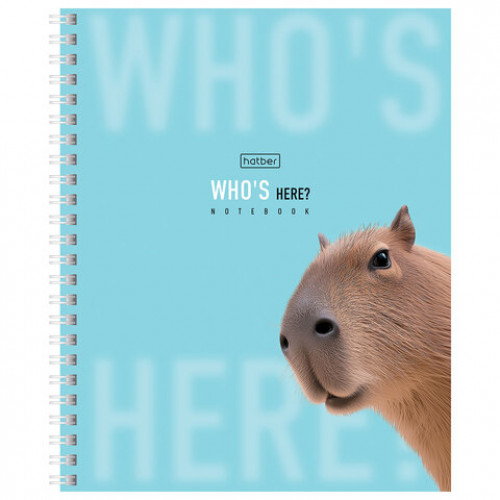 Тетрадь А5 48 л. HATBER гребень, клетка, Soft-touch ламинация, Кто здесь? (микс в спайке), 48Т5лВ1гр