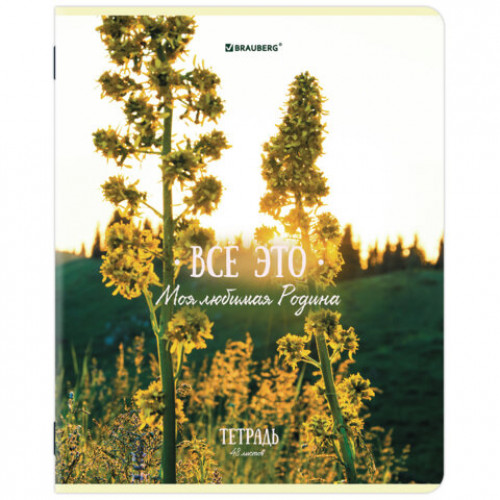 Тетрадь А5, 48 л., BRAUBERG, скоба, клетка, глянцевый лак, Русская природа (микс в спайке), 405651