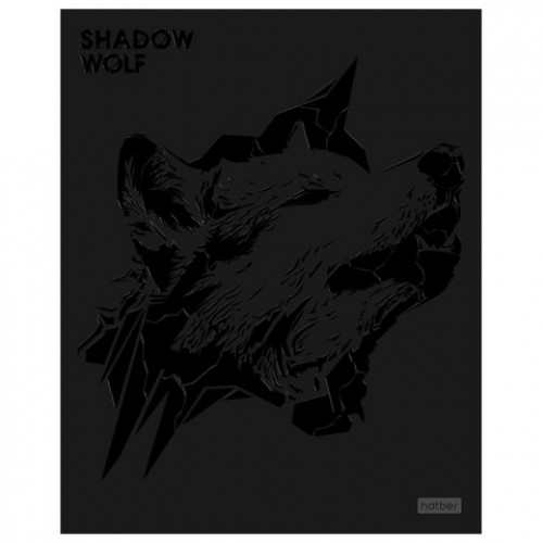 Тетрадь А5 48л. HATBER скоба, клетка, матовая ламинация, 3D лак, Shadow (микс в спайк, 48Т5лолВ1