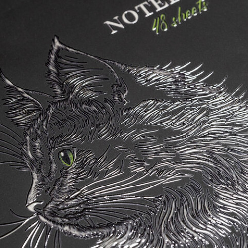 Тетрадь А5 48л. HATBER скоба, клетка, матовая ламинация, 3D лак, Black Cat (микс в сп, 48Т5лолВ1