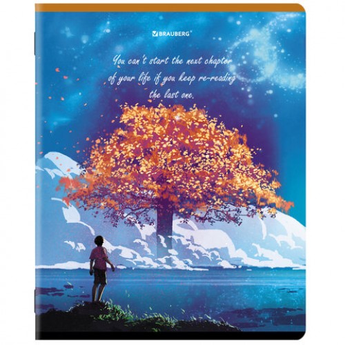 Тетради КОМПЛЕКТ 5 шт., А5, 96 л., BRAUBERG, скоба, клетка, глянцевый лак, Dream World, 404402