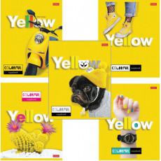 Тетрадь А5, 96 л., HATBER, скоба, клетка, выборочный лак, YELLOW, 96Т5вмВ1 Тетрадь А5, 96 л., HATBER, скоба, клетка, выборочный лак, YELLOW, 96Т5вмВ1