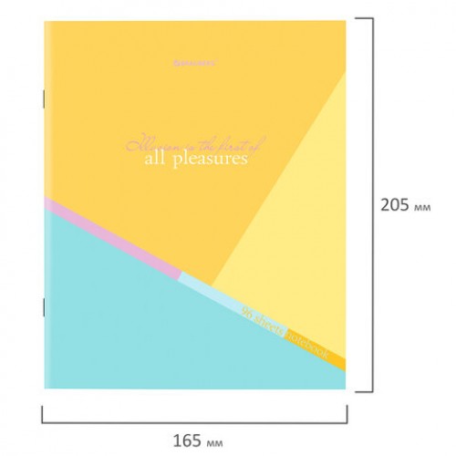 Тетрадь А5 96 л. BRAUBERG скоба, клетка, Multicolor, 404436