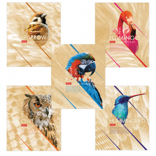 Тетрадь А5, 80 л., HATBER, скоба, клетка, выборочный лак, Birds (5 видов), 80Т5вмВ1