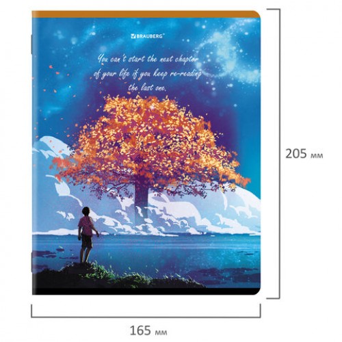 Тетради КОМПЛЕКТ 5 шт., А5, 96 л., BRAUBERG, скоба, клетка, глянцевый лак, Dream World, 404402