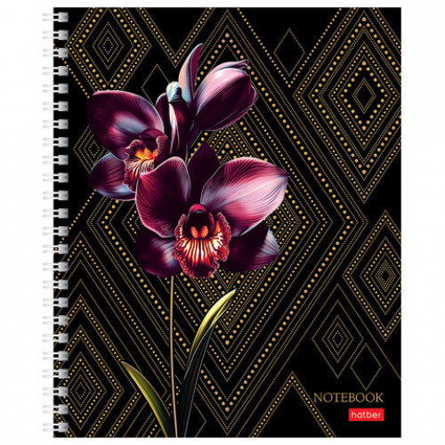 Тетрадь А5 96л. HATBER гребень, клетка, матовая ламинация, 3D фольга, Золотая гармони, 96Т5лофВ1гр