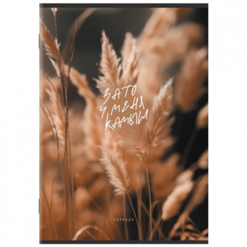 Тетрадь А4 80 л. STAFF College скоба, клетка, офсет №2 ЭКОНОМ, обложка картон, ЭСТЕТИКА, 405617