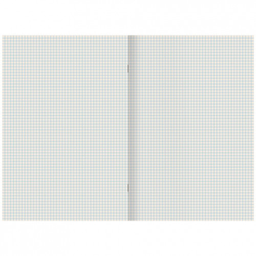 Тетрадь А4 80 л. STAFF College скоба, клетка, офсет №2 ЭКОНОМ, обложка картон, ЭСТЕТИКА, 405617