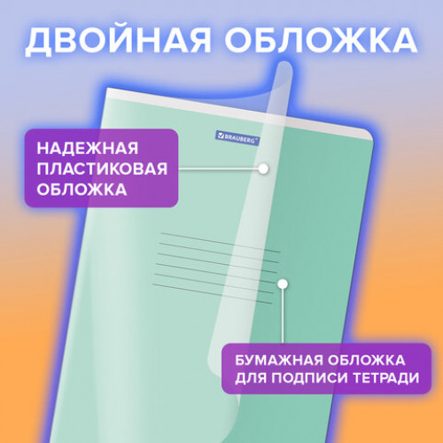 Тетрадь пластиковая обложка (прозрачная) А4, 96 листов, скоба, клетка, BRAUBERG Smart Cover, АССОРТИ (микс в спайке), 405042