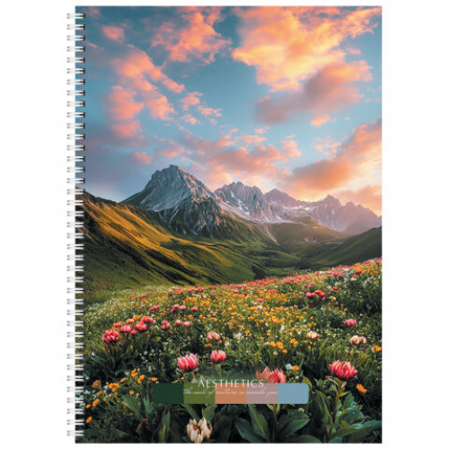 Тетрадь А4 96 л. STAFF College гребень, клетка, офсет №2 ЭКОНОМ, обложка картон, ПРИРОДА, 405619