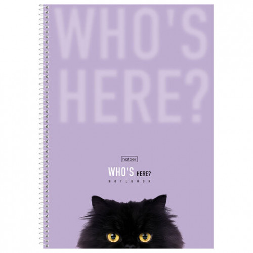 Тетрадь А4 96л. HATBER спираль, линия, матовая ламинация, Кто здесь? (микс в спайке),, 96Т4лВ2сп