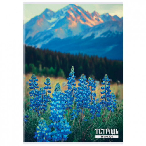 Тетрадь А4 96 л. STAFF College скоба, клетка, офсет №2 ЭКОНОМ, обложка картон, ГОРНЫЕ ЦВЕТЫ, 405621
