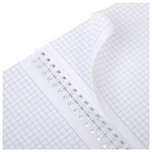 Тетрадь А4 80л. HATBER гребень, клетка, тиснение, LEO-принт (микс в спайке), 092755, 80Т4тВ1гр