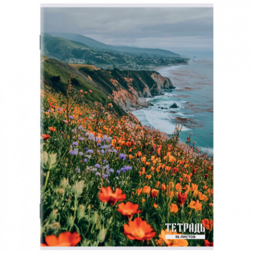 Тетрадь А4 96 л. STAFF College скоба, клетка, офсет №2 ЭКОНОМ, обложка картон, ГОРНЫЕ ЦВЕТЫ, 405621