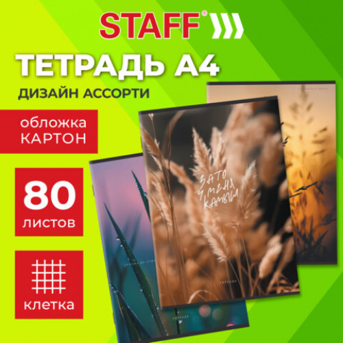 Тетрадь А4 80 л. STAFF College скоба, клетка, офсет №2 ЭКОНОМ, обложка картон, ЭСТЕТИКА, 405617