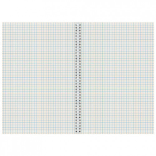 Тетрадь А4 96 л. STAFF College гребень, клетка, офсет №2 ЭКОНОМ, обложка картон, ПРИРОДА, 405619