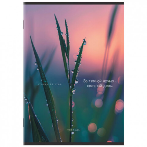 Тетрадь А4 80 л. STAFF College скоба, клетка, офсет №2 ЭКОНОМ, обложка картон, ЭСТЕТИКА, 405617