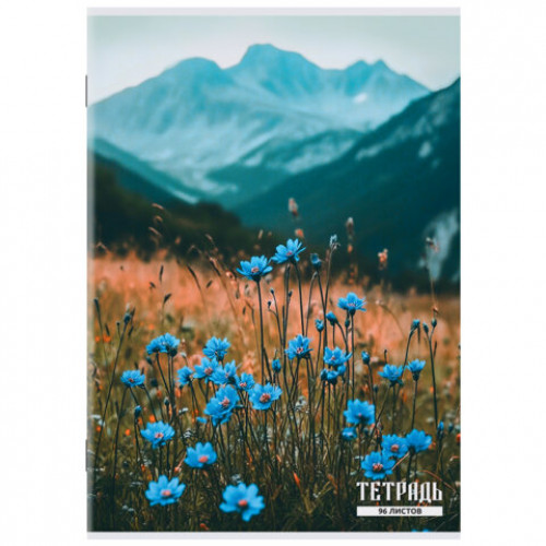 Тетрадь А4 96 л. STAFF College скоба, клетка, офсет №2 ЭКОНОМ, обложка картон, ГОРНЫЕ ЦВЕТЫ, 405621