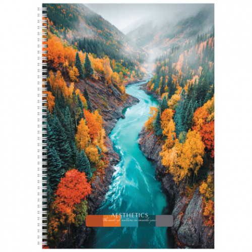 Тетрадь А4 96 л. STAFF College гребень, клетка, офсет №2 ЭКОНОМ, обложка картон, ПРИРОДА, 405619