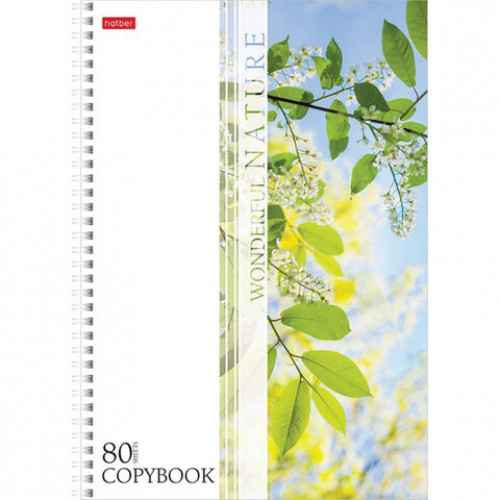 Тетрадь А4, 80 л., HATBER, гребень, клетка, выборочный лак, Nature (4 вида в спайке), 80Т4вмВ3гр