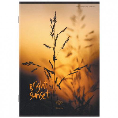 Тетрадь А4 80 л. STAFF College скоба, клетка, офсет №2 ЭКОНОМ, обложка картон, ЭСТЕТИКА, 405617