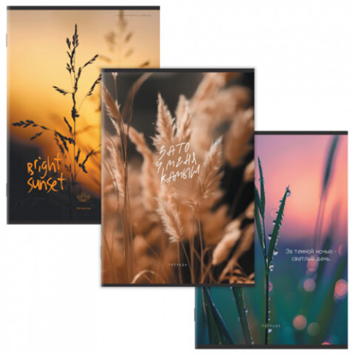 Тетрадь А4 80 л. STAFF College скоба, клетка, офсет №2 ЭКОНОМ, обложка картон, ЭСТЕТИКА, 405617