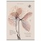 Тетрадь А4 80л. ПЗБМ скоба, клетка, Soft Touch, брайль, Латынь (микс в спайке), 23430