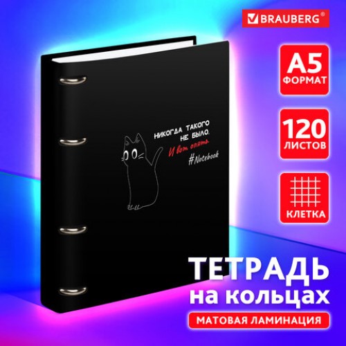 Тетрадь на кольцах А5 160х212 мм, 120 листов, картон, матовая ламинация, клетка, BRAUBERG, Просто Кот, 404723