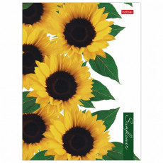 Тетрадь на кольцах А5 (170х220 мм), 160 л., картонная обложка, клетка, HATBER, 2SUNFLOWERS, 160ТК5В1, 160ТК5В1_23016