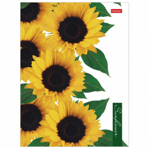 Тетрадь на кольцах А5 (170х220 мм), 160 л., картонная обложка, клетка, HATBER, 2SUNFLOWERS, 160ТК5В1, 160ТК5В1_23016