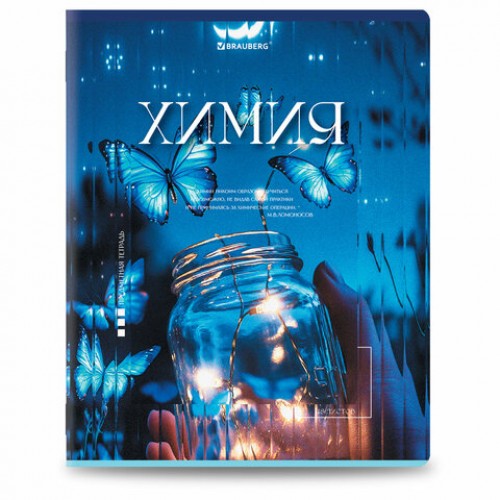 Тетради предметные, КОМПЛЕКТ 12 ПРЕДМЕТОВ, 48 л., глянцевый УФ-лак, BRAUBERG ILLUSION, 405171