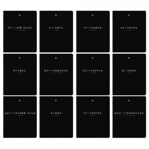 Тетради предметные, КОМПЛЕКТ 12 ПРЕДМЕТОВ, 48л, SoftTouch, 3D-фольга, BRAUBERG, BLACK GOLD, 405602