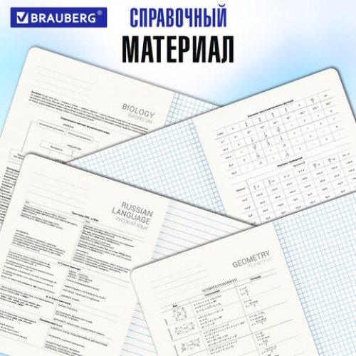 Тетради предметные, КОМПЛЕКТ 12 ПРЕДМЕТОВ, 48 л., обложка картон, BRAUBERG HARMONY, 405167